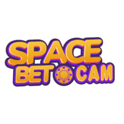 how to work a sudoku puzzle
